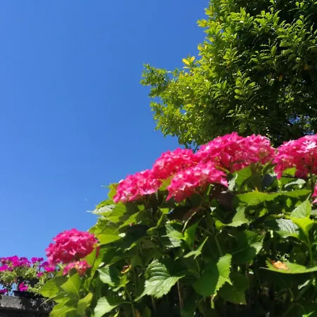 Bnbvistalago Bed & Breakfast Bee